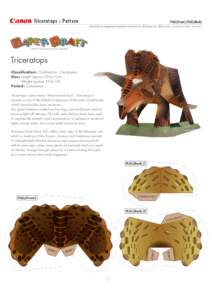 Triceratops : Pattern  FLILL(Front)/FLILL(Back) http://www.canon.com/c-park/en/
