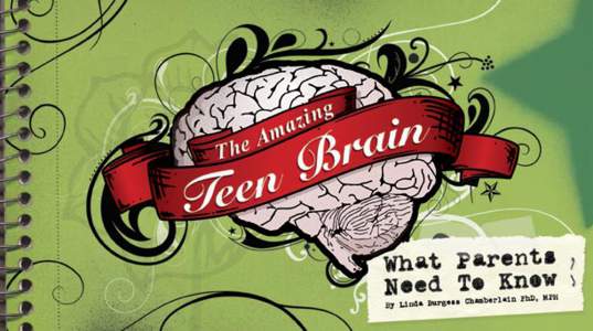 [removed]Teen Brain-16p.indd