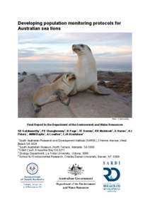 Developing population monitoring protocols for Australian sea lions