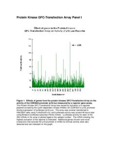 Microsoft Word - Protein Kinase GFC data plus gra.doc