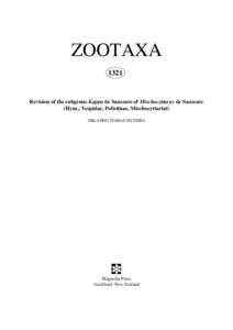 ZOOTAXA 1321 Revision of the subgenus Kappa de Saussure of Mischocyttarus de Saussure (Hym.; Vespidae, Polistinae, Mischocyttarini) ORLANDO TOBIAS SILVEIRA