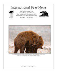 International Bear News Quarterly Newsletter of the International Association for