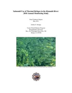 Salmonid Use of Thermal Refuges in the Klamath River: 2009 Annual Monitoring Results