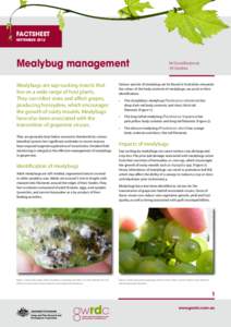 FACTSHEET SEPTEMBER 2012 Mealybug management Mealybugs are sap-sucking insects that live on a wide range of host plants.