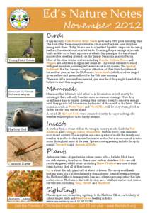 Ed’s Nature Notes November 2012