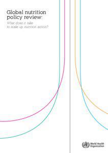 Global nutrition policy review: What does it take