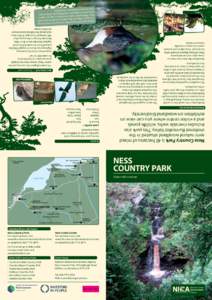 Ness Country Park is 45 hectares of mixed semi natural woodland situated in the sheltered Burntollet Valley. This park also includes riverside walks, wildlife ponds and a visitor centre where you can view an exhibition o