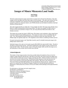 Images of Minute Minnesota Land Snails