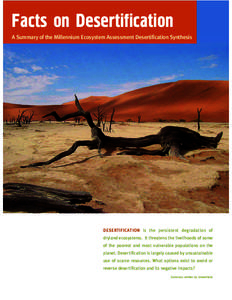 Facts on Desertification A Summary of the Millennium Ecosystem Assessment Desertification Synthesis DESERTIFICATION is the persistent degradation of dryland ecosystems. It threatens the livelihoods of some of the poorest