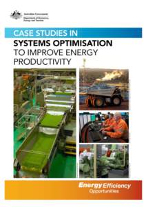 CASE STUDY: SYSTEMS OPTIMISATION to Improve Energy Productivity 1  Systems optimisation to improve energy productivity Case studies conducted with the kind assistance of:  BHP Billiton Worsley Alumina  AngloGold A