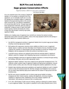 BLM Fire and Aviation Sage-grouse Conservation Efforts “Sagebrush habitat is BLM’s #1 conservation commitment.” - BLM Director Bob Abbey  Fire is an important part of the ecology of sagebrush