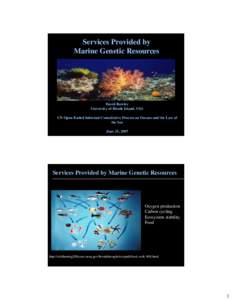 Services Provided by Marine Genetic Resources David Rowley University of Rhode Island, USA UN Open-Ended Informal Consultative Process on Oceans and the Law of
