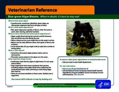 Veterinarian Reference Blue-green Algae Blooms. When in doubt, it’s best to stay out! What are blue-green algae? •	 Cyanobacteria, sometimes called blue-green algae, are microscopic organisms that live in all types o