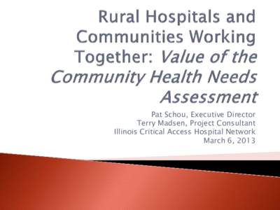 Pat Schou, Executive Director Terry Madsen, Project Consultant Illinois Critical Access Hospital Network March 6, 2013  