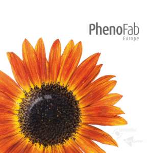 PhenoFab Europe – es ey !