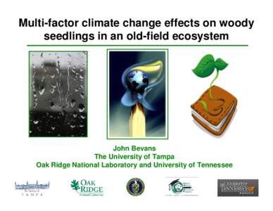 Multi-factor climate change effects on woody seedlings in an old-field ecosystem John Bevans The University of Tampa Oak Ridge National Laboratory and University of Tennessee