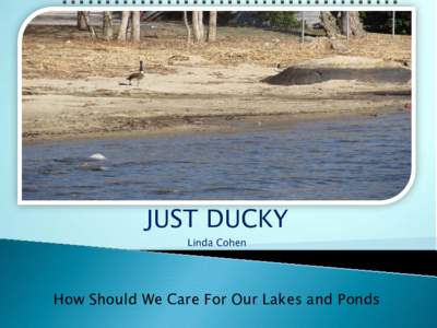 JUST DUCKY Linda Cohen How Should We Care For Our Lakes and Ponds  