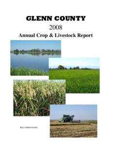 GLENN COUNTY 2008 Annual Crop & Livestock Report Rice in Glenn County