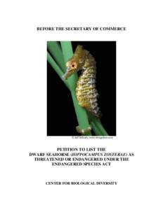 CBD Dwarf Seahorse Petition