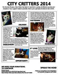 CITY CRITTERS[removed]For the last 20 years, City Critters has taken in cats from a variety of different sources and situations. Your support makes it possible. Here’s just a glimpse of what we did in[removed]While deliver