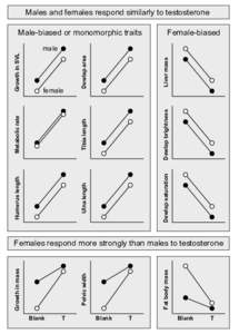 Males and females respond similarly to testosterone Male-biased or monomorphic traits Female-biased  Dewlap saturation