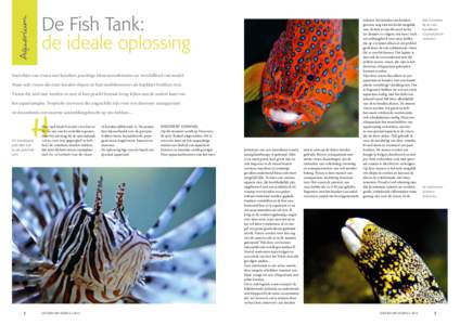 Aquarium  De Fish Tank: de ideale oplossing  Juweeltjes van vissen met karakter, prachtige kleurencombinaties en verschillend van model.