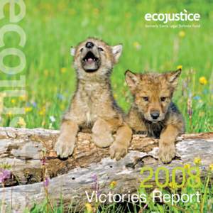 2008  Victories Report A word from the executive director Dear Friend of Ecojustice,