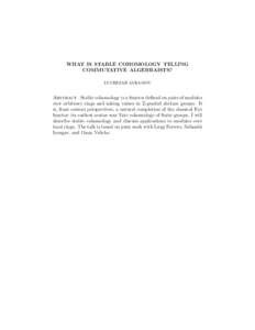 WHAT IS STABLE COHOMOLOGY TELLING COMMUTATIVE ALGEBRAISTS? LUCHEZAR AVRAMOV Abstract. Stable cohomology is a functor defined on pairs of modules over arbitrary rings and taking values in Z-graded abelian groups. It