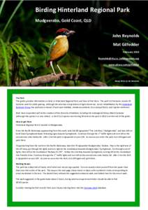 Birds of Australia / Mudgeeraba /  Queensland / Blue-faced honeyeater / Yellow-faced honeyeater / Striped honeyeater / Macquarie Pass National Park / Sibley-Monroe checklist 12
