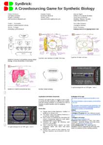 SynBrick: A Crowdsourcing Game for Synthetic Biology Pablo Cárdenas Leukippos Institute Bogotá, Colombia [removed]