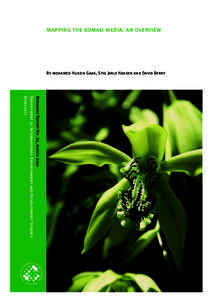 mapping the somali media: an overview  By mohamed Husein Gaas, Stig Jarle Hansen and David Berry Noragric Report No. 65, march 2012 Department of International Environment and Development Studies
