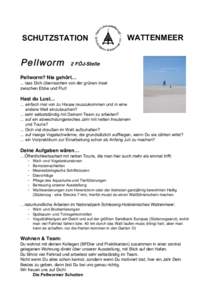 SCHUTZSTATION  Pellworm WATTENMEER