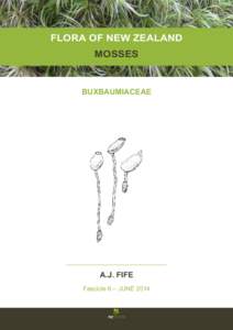 Biology / Mosses / Buxbaumia / Bryopsida