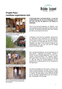 Projekt Piauí: Landlose organisieren sich In Nordostbrasilien unterstützt Brücke · Le pont die Landbevölkerung, die von ihren Siedlungen vertrieben wird, und hilft, die Sklaverei in der Region zu bekämpfen. Piauí 