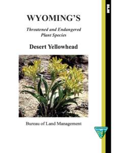 Threatened and Endangered   Plant Species Desert Yellowhead