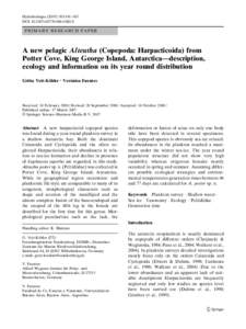 Hydrobiologia:141–163 DOIs10750PRIMARY RESEARCH PAPER  A new pelagic Alteutha (Copepoda: Harpacticoida) from