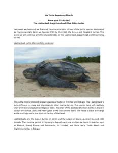 Sea Turtle Awareness MonthKnow your ESS turtles! The Leatherback, Loggerhead and Olive Ridley turtles Last week we featured we featured the characteristics of two of the turtle species designated as Environmentally Sensi