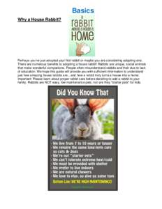 Basics Why a House Rabbit? Perhaps you’ve just adopted your first rabbit or maybe you are considering adopting one. There are numerous benefits to adopting a house rabbit! Rabbits are unique, social animals that make w