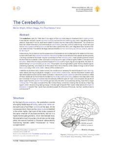 WikiJournal of Medicine, 2016, 3 (1) doi: wjmEncyclopedic Review Article The Cerebellum Marion Wright, William Skaggs, Finn Årup Nielsen,* et al.
