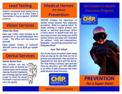 Lead Testing  Medical Homes Doctors recommend lead testing for all children by age 2, or at other times if