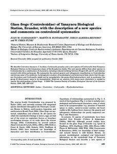 Glass frog / Nymphargus posadae / Hyalinobatrachium / Centrolene / Herpetology / Cochranella