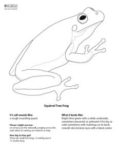 Squirrel Tree Frog It’s call sounds like: a rough-sounding quack Places I might see one: on a house, on the sidewalk, jumping across the road when it’s raining; on a branch or twig