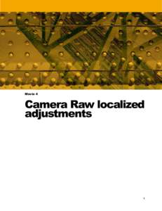 Movie 4  Camera Raw localized adjustments  1