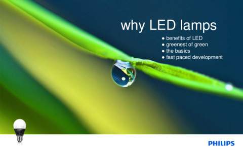 why LED lamps ● benefits of LED ● greenest of green ● the basics ● fast paced development