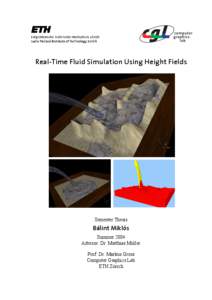 Real-Time Fluid Simulation Using Height Fields  Semester Thesis Bálint Miklós Summer 2004