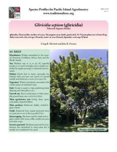 Gliricidia sepium (gliricidia)