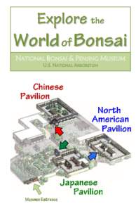 NATIONAL BONSAI & PENJING MUSEUM U.S. NATIONAL ARBORETUM Chinese bonsai artists create  miniature landscapes