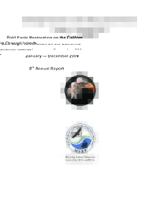 Microsoft Word - Montrose bald eagle report 2009_final 82610