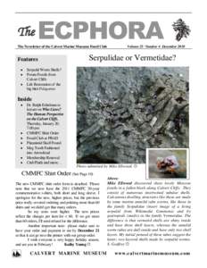 The  ECPHORA The Newsletter of the Calvert Marine Museum Fossil Club