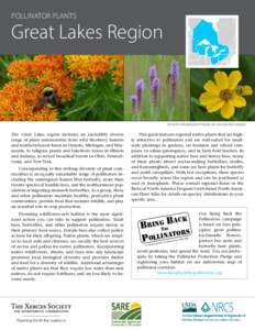 Pollinator Plants  Great Lakes Region Butterfly milkweed, prairie blazing star, and lanceleaf coreopsis.